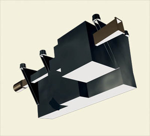 The Cometary Secondary Ion Mass