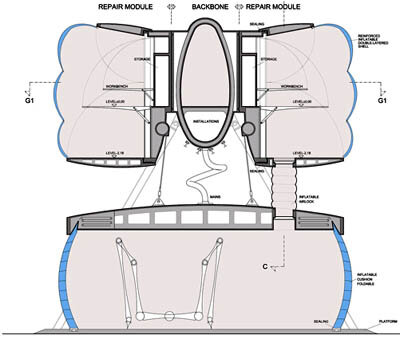 Section of the flexible module