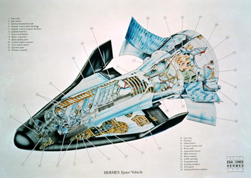 Hermes cutaway