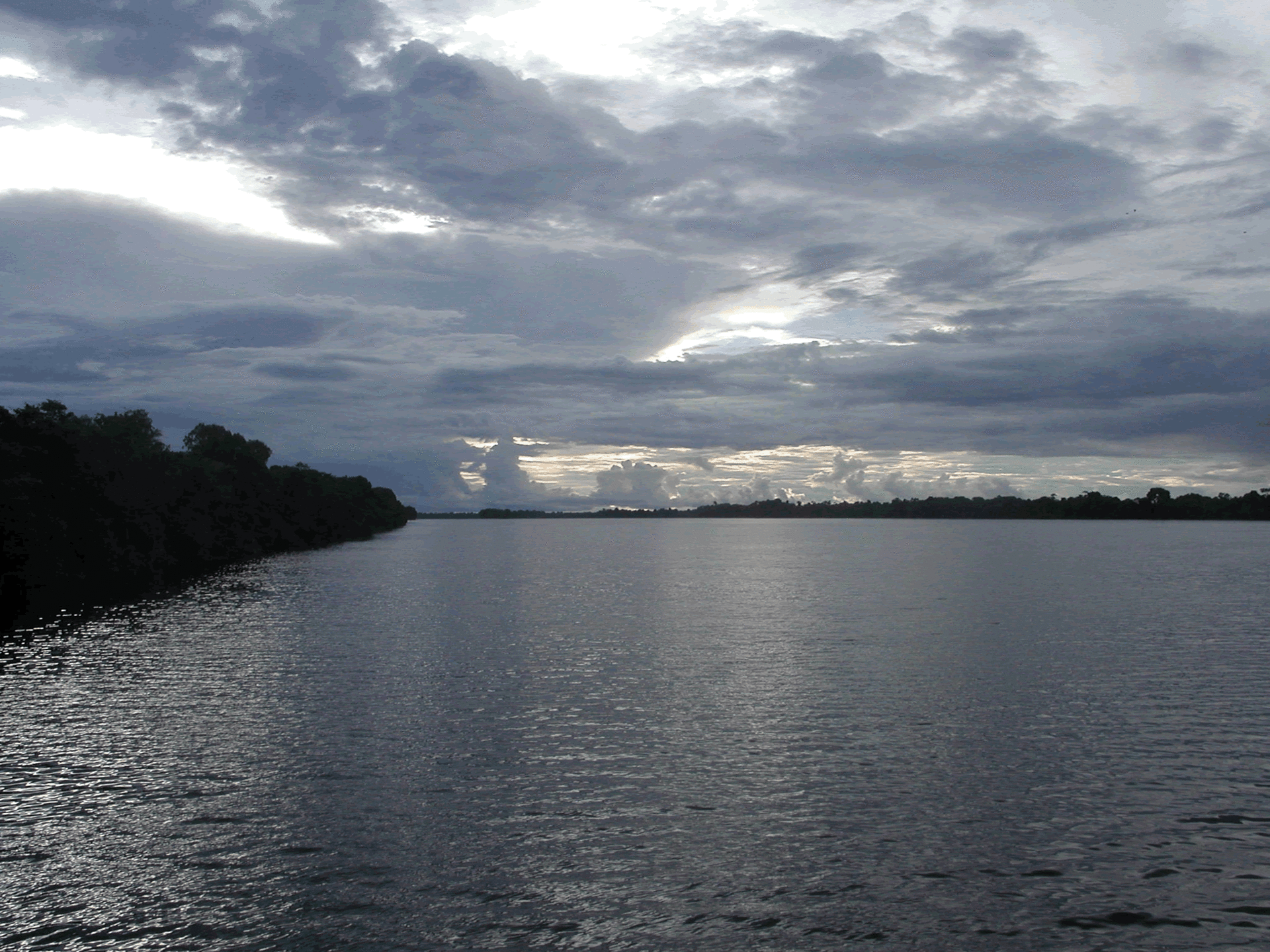 The Amazon River