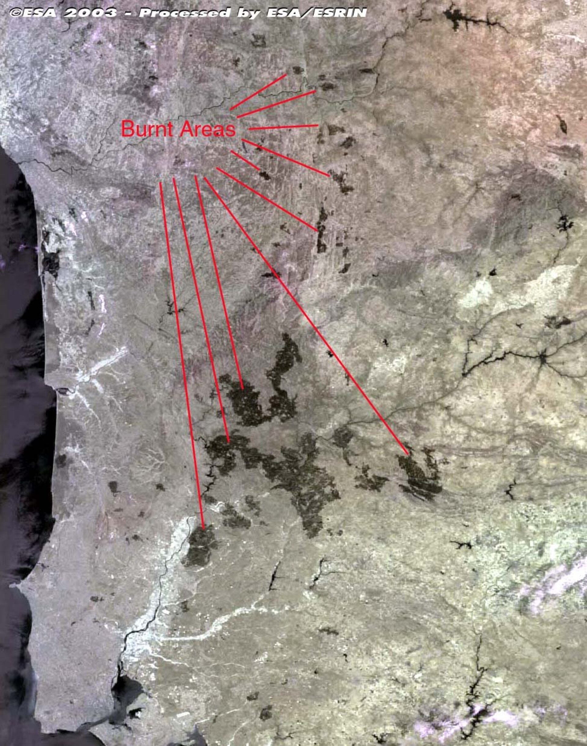 Les zones incendiées au Portugal apparaissent comme des taches noires sur cette image prise par l'instrument MERIS