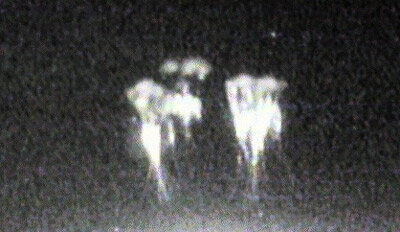 Groupe de sylphes observés depuis l'observatoire du Pic du Midi.