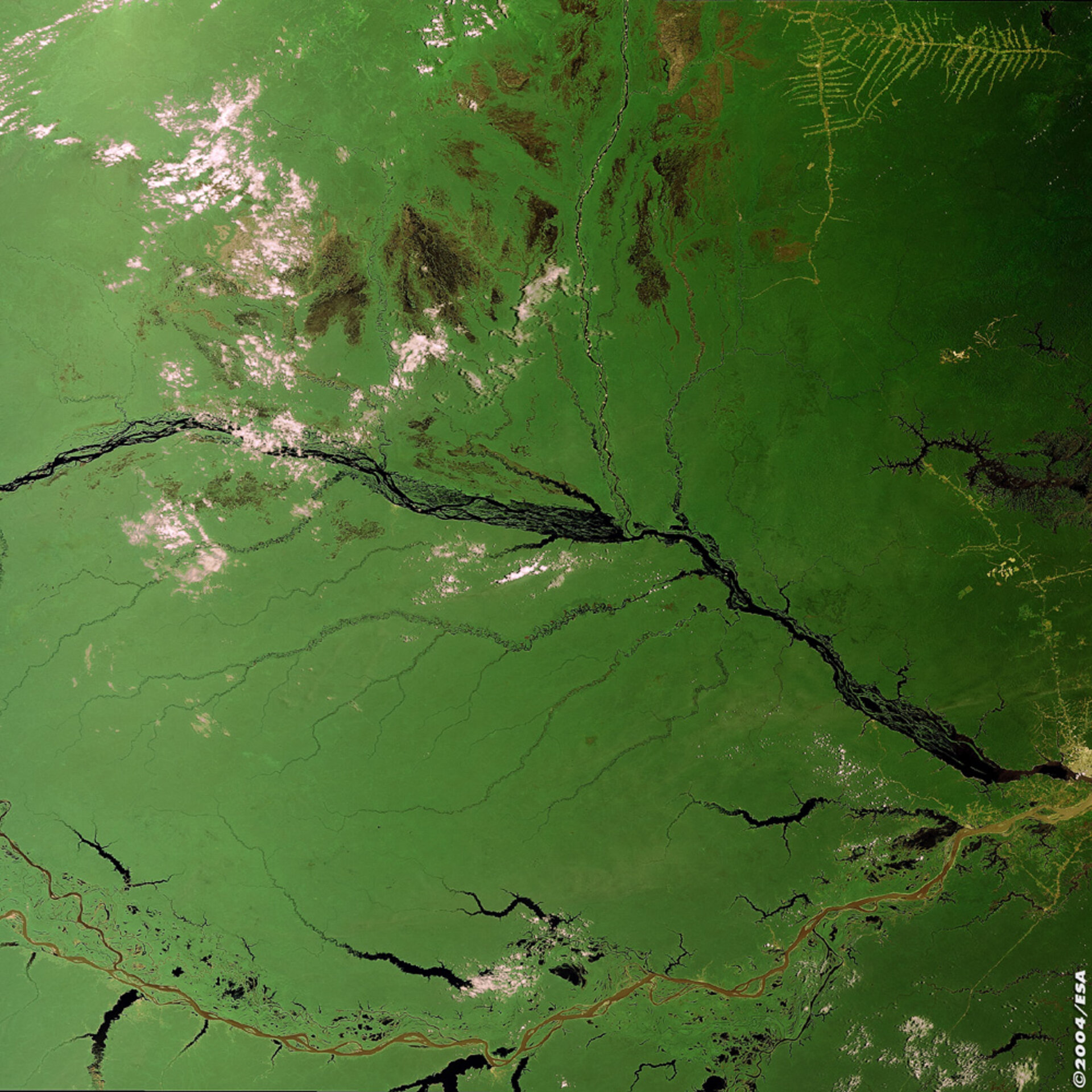 Amazon Basin - MERIS, 4 October 2002