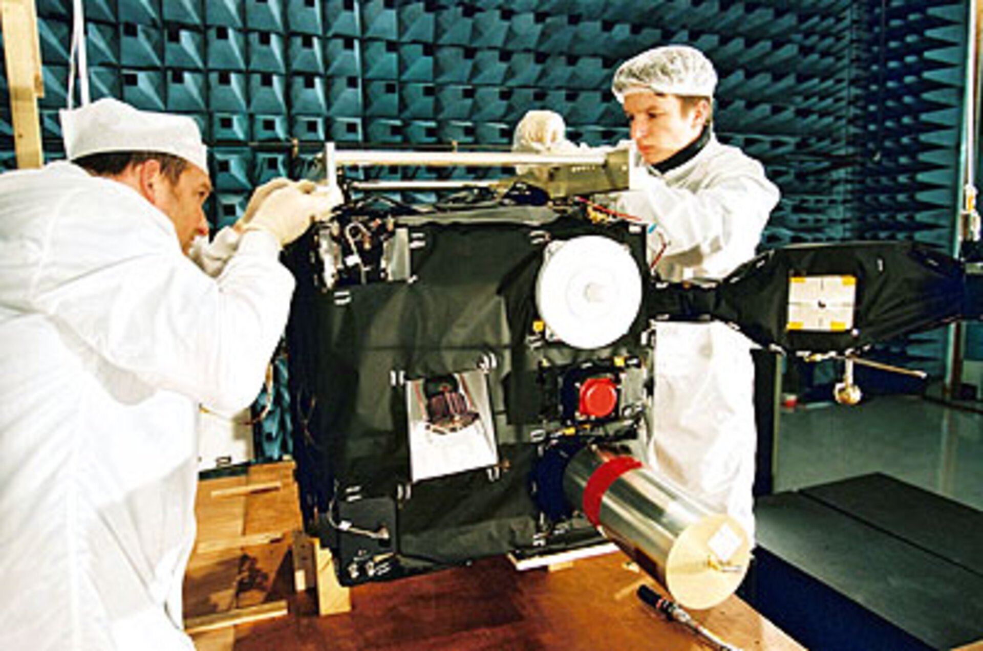 Integration and testing of Demeter microsatellite