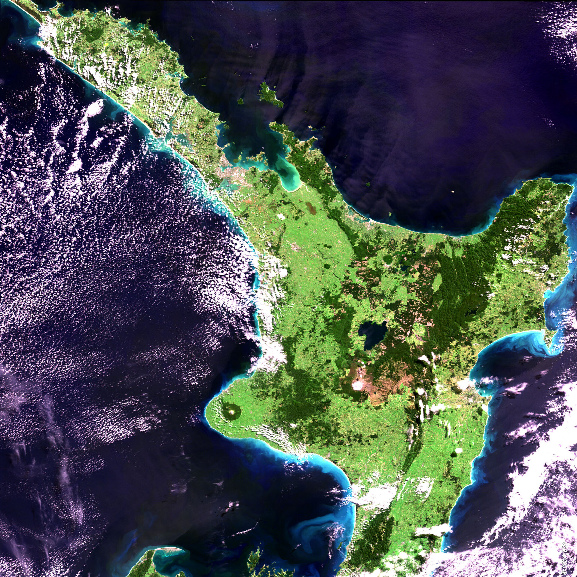 North Island, New Zealand - MERIS - 29 March 2004