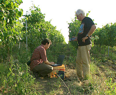 Gli specialisti misurano sul campo la grandezza delle foglie e valutano la maturazione dei grappoli.