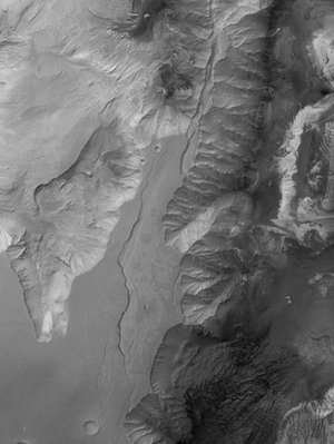 Candor Chasma in black and white