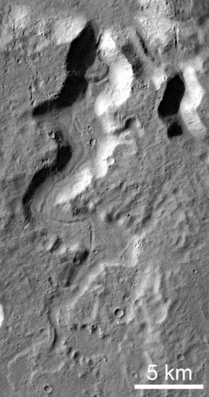 Detail 1 - Senus Vallis