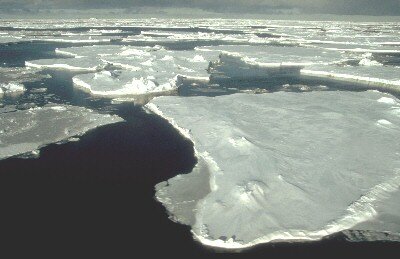 Floating sea ice