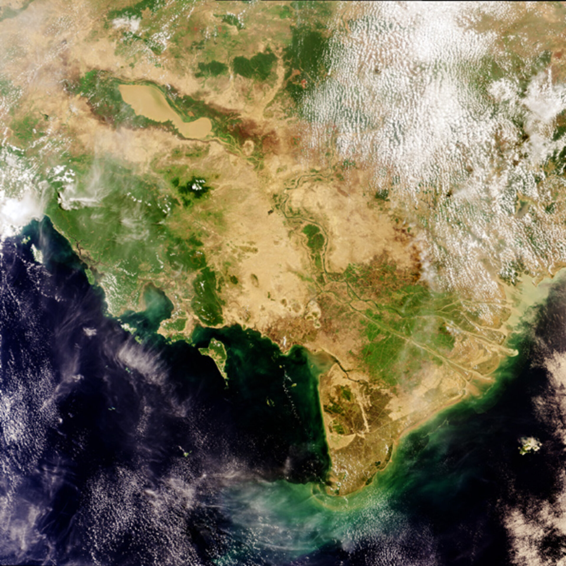 Vietnam's Mekong Delta as seen by Envisat