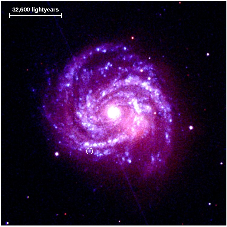 XMM-Newton UV image of supernova in spiral galaxy M100
