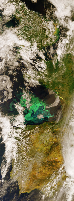 Algae bloom in the Bay of Biscay