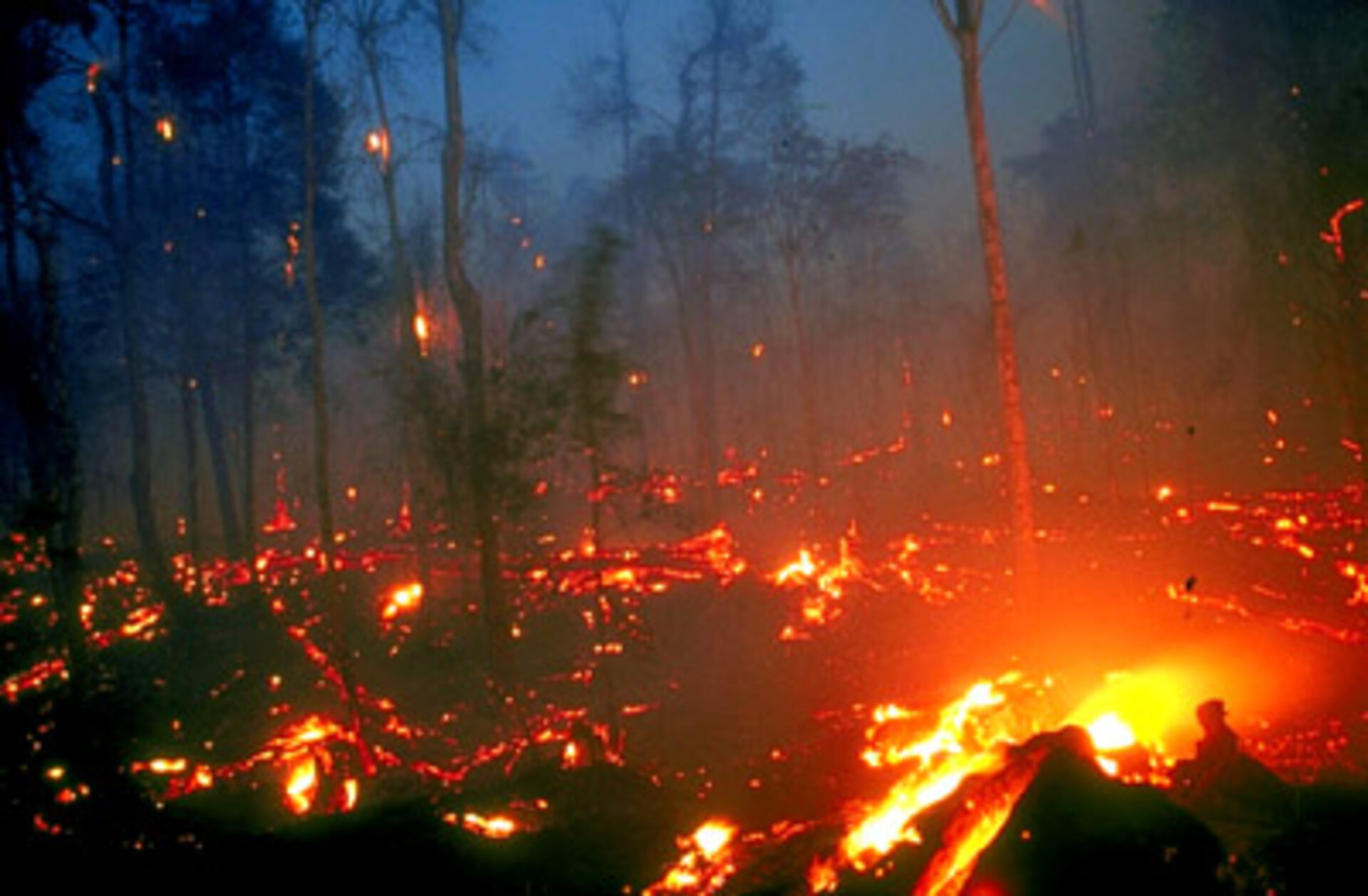 Fires release vast amounts of carbon