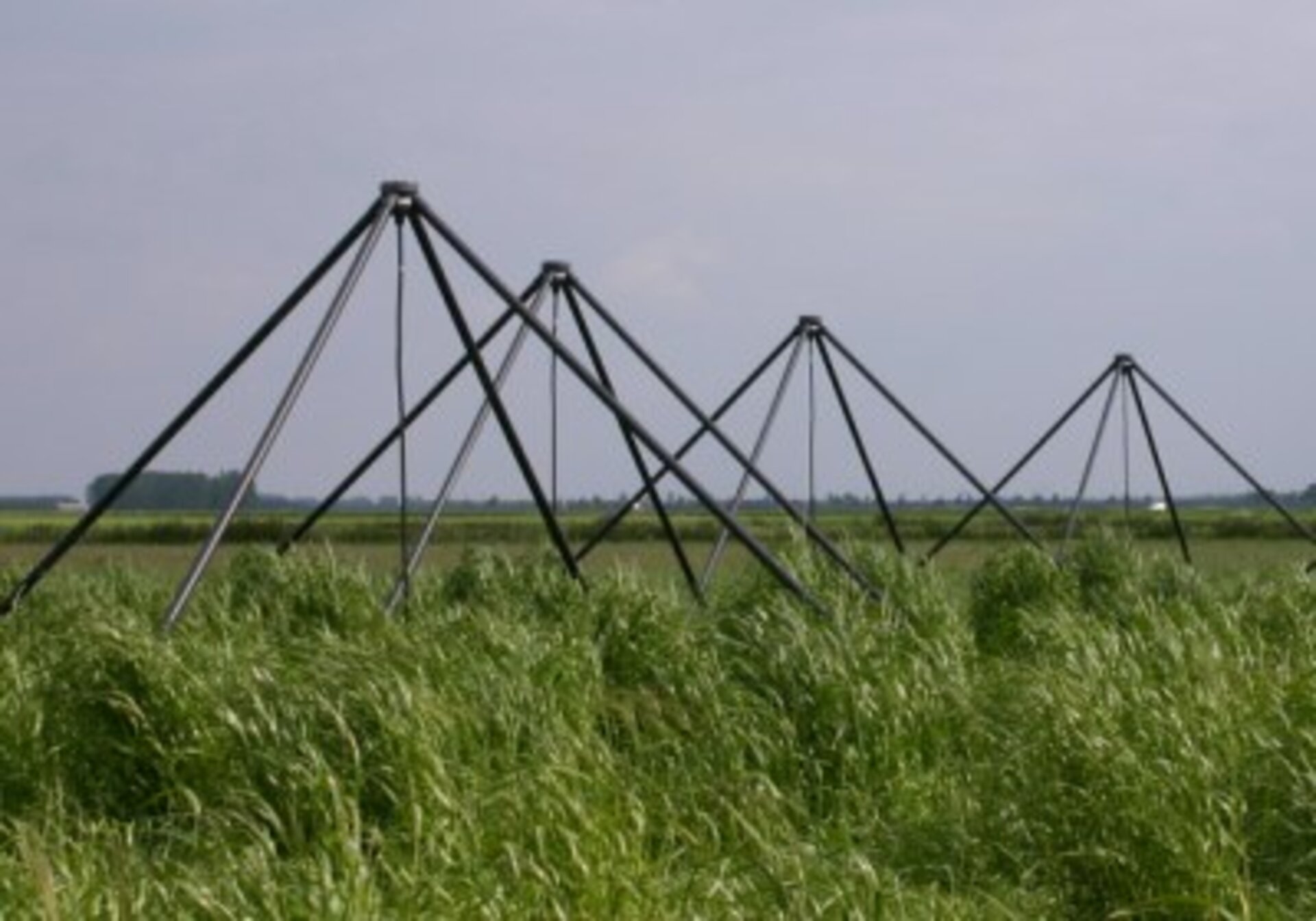 LOFAR-antenner på marken. Fotot är taget den 24 maj 2004 av Sven