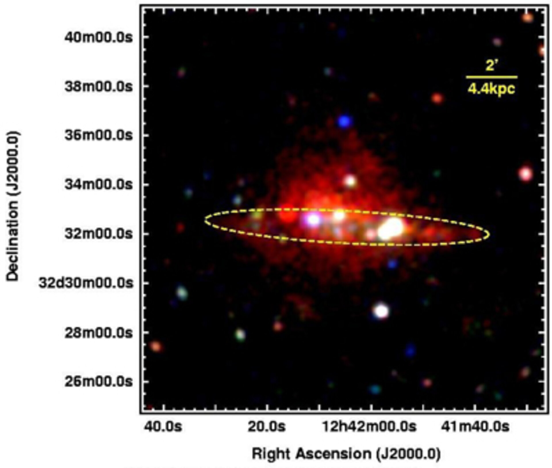 XMM-Newton view of hot ionised gas halo in NGC 4631