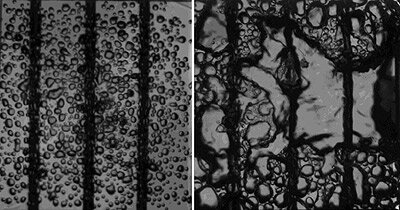 Boiling under normal gravity (left) and in weightlessness (right) with no electric field and observed through heater surface