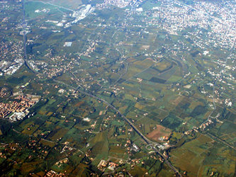 Frascati vineyards