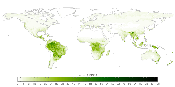 Worldwide leaf area index (LAI)