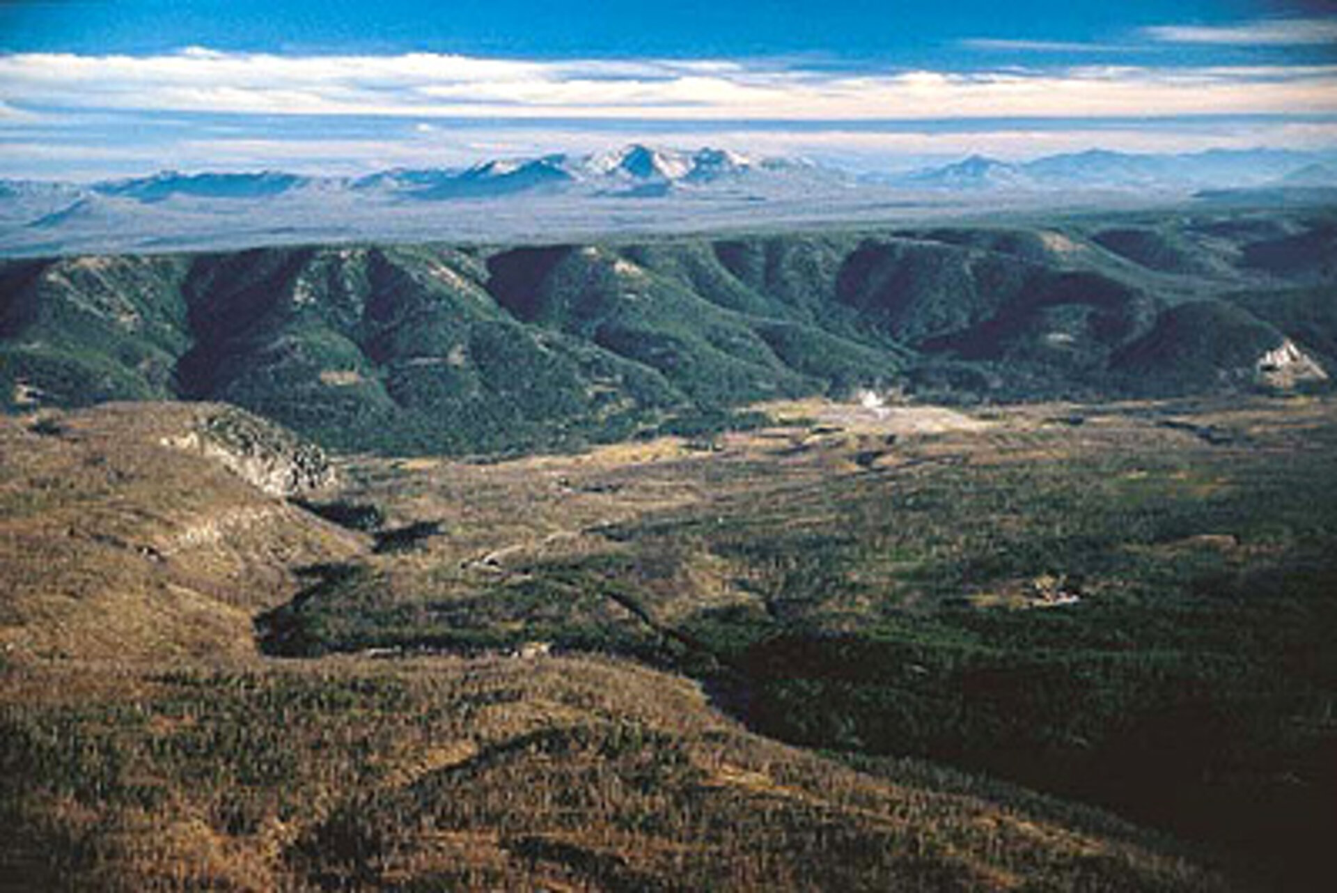 The rim of the Yellowstone Caldera