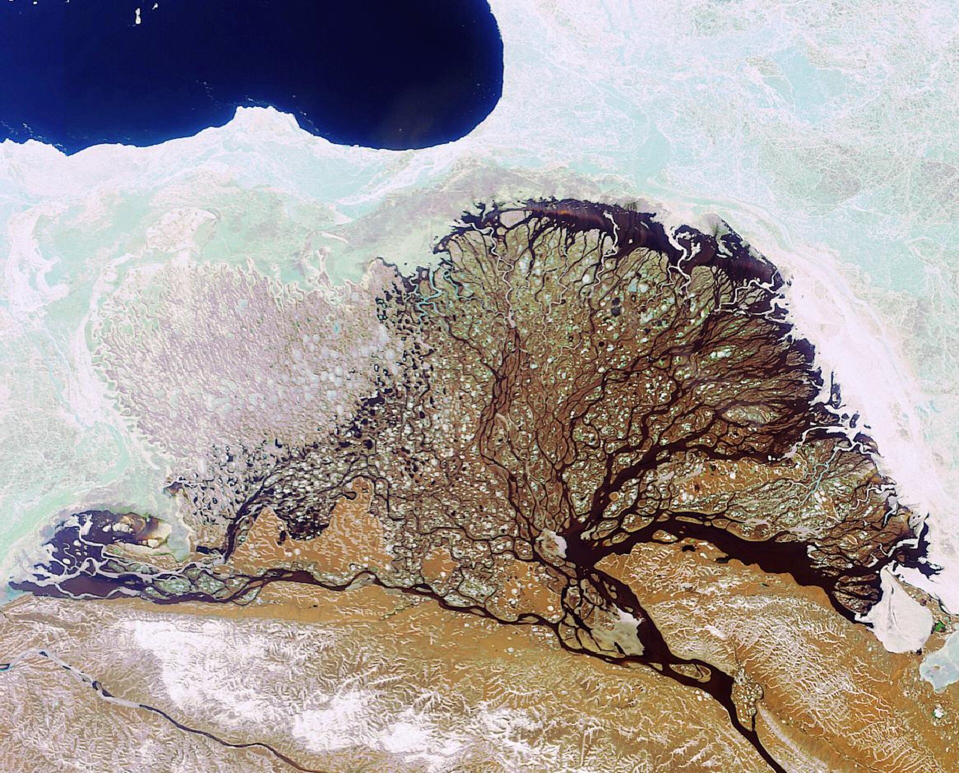 Russia's Lena River Delta as seen by Envisat