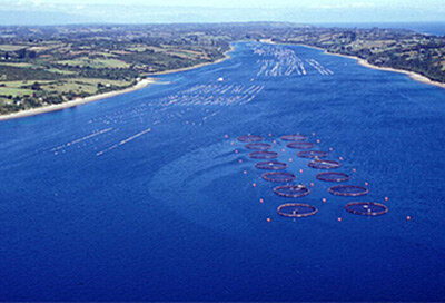 Salmon farms in Chile
