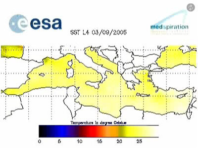 Sea surface temperature maps