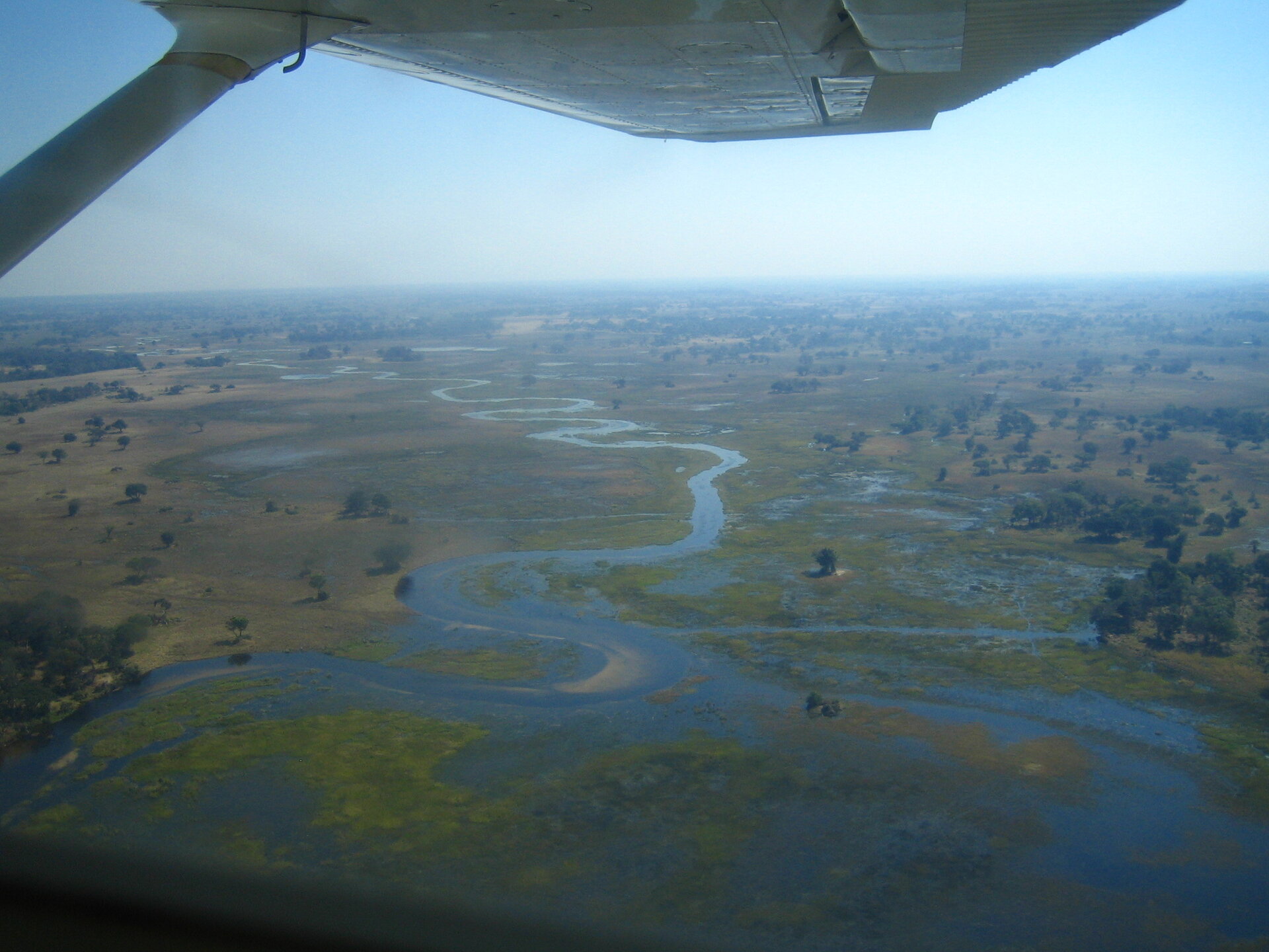 Aerial view of Okavango Delta