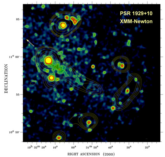 Pulsar PSR B1929+10 seen by XMM-Newton