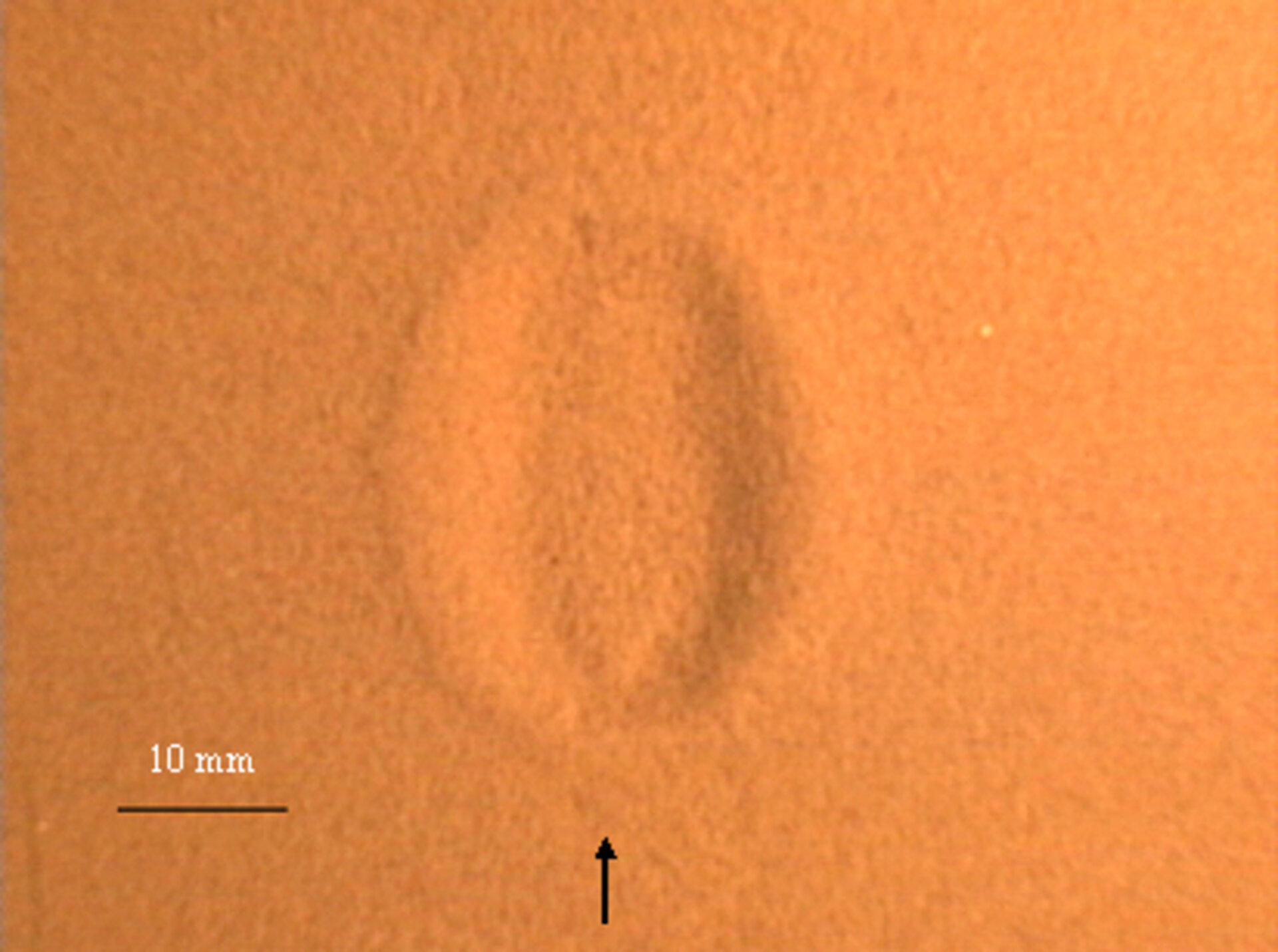 Simulation of SMART-1's impact crater