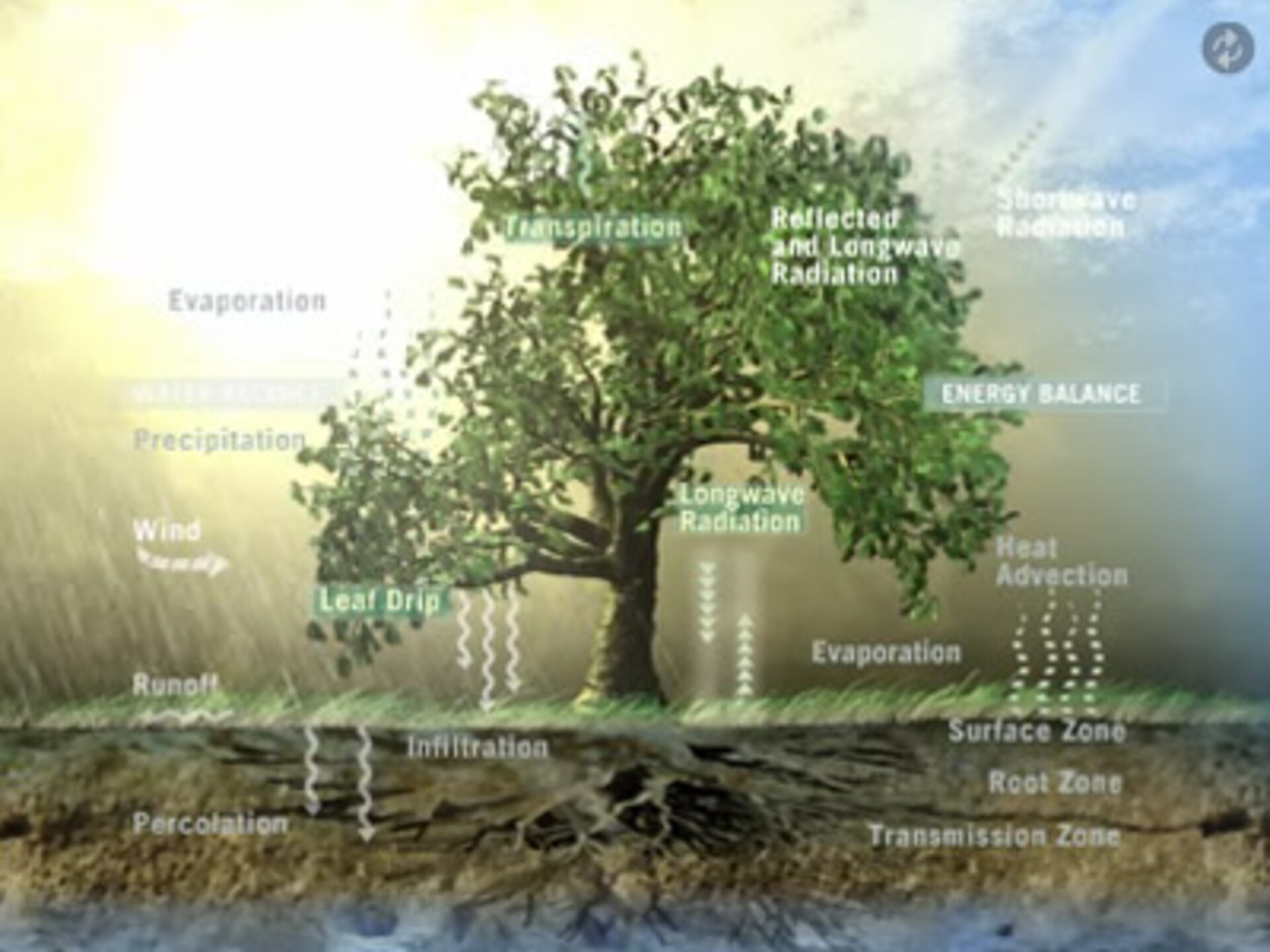 Terrestrial and atmospheric components of the water cycle