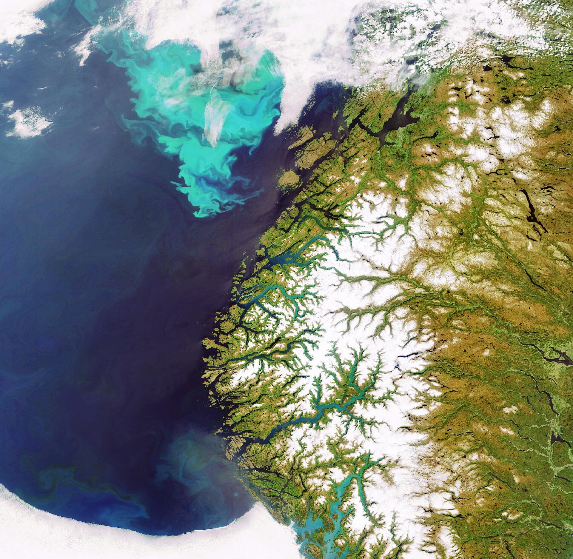 Plankton bloom off the coast of Norway