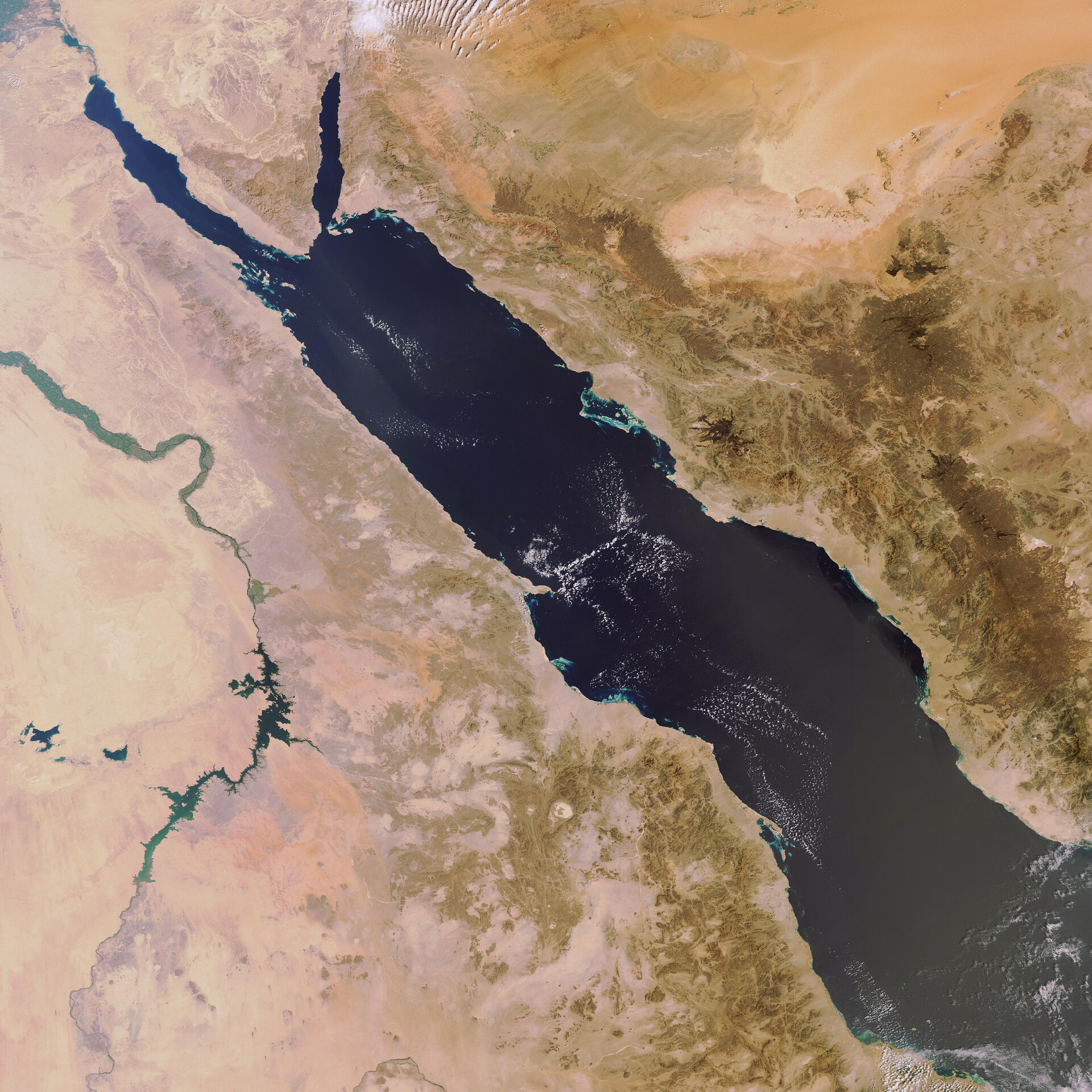 The Red Sea as seen today by Envisat
