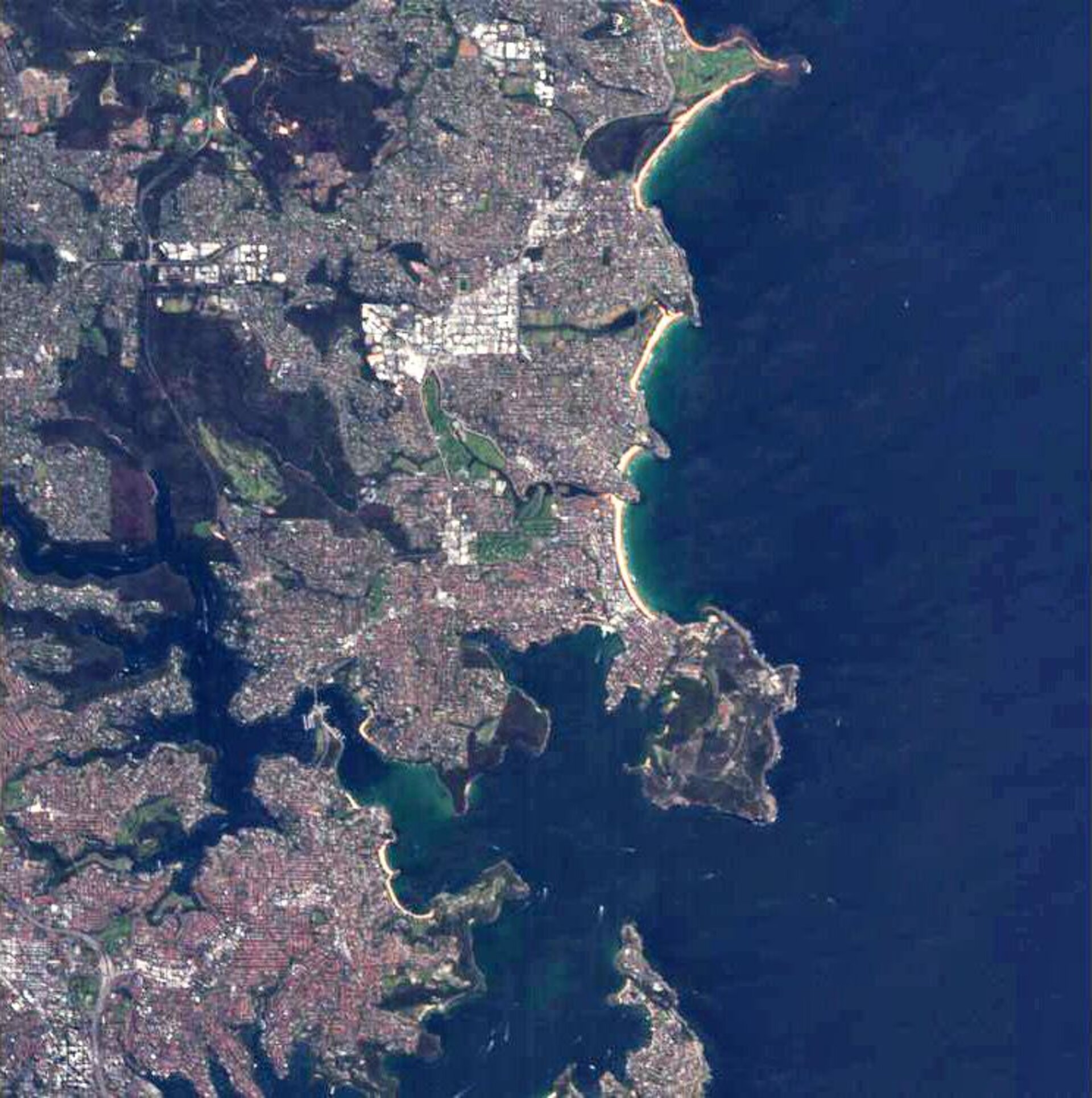 Proba image over Manly, Australia