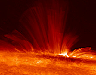 Structure of the Sun's magnetic field