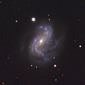 An optical image of NGC 4051