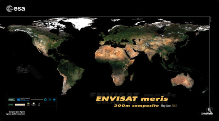 GlobCover composite for May to June 2005