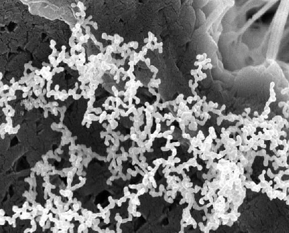 Nanopartículas de metal crecidas en microgravedad