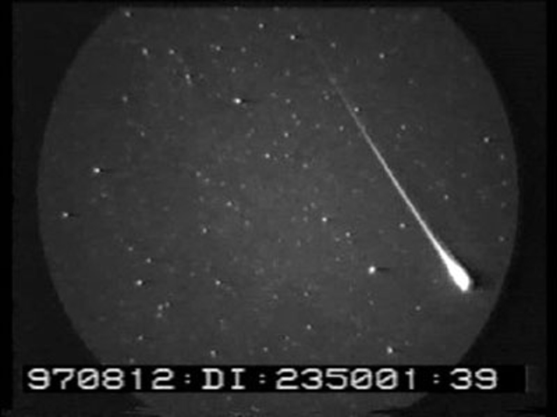 The Perseids