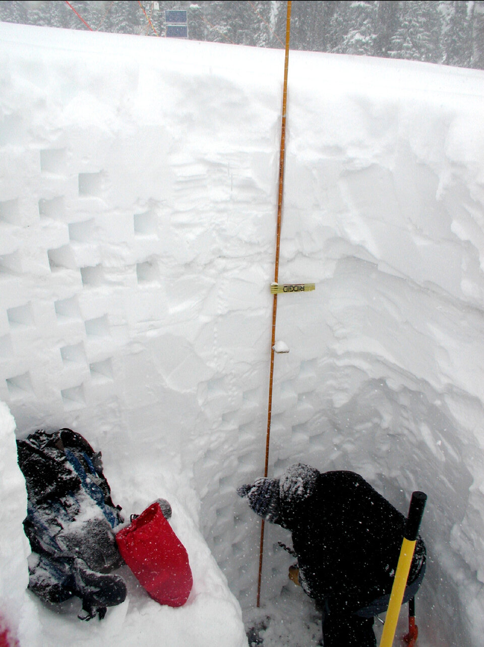 Taking snow samples