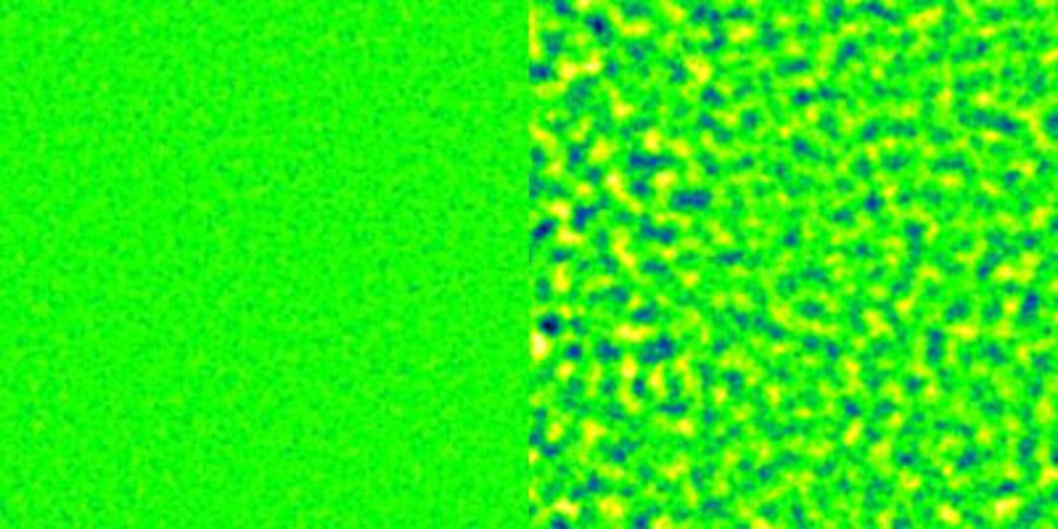 Temperature fluctuations in a simple, single-component organic fluid on Earth (left) and onboard Foton-M3 (right)