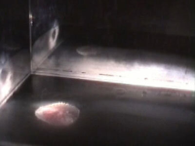 Cloud chamber demo