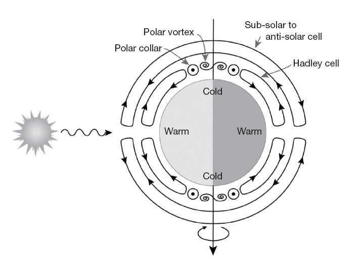 General circulation in Venus’ atmosphere