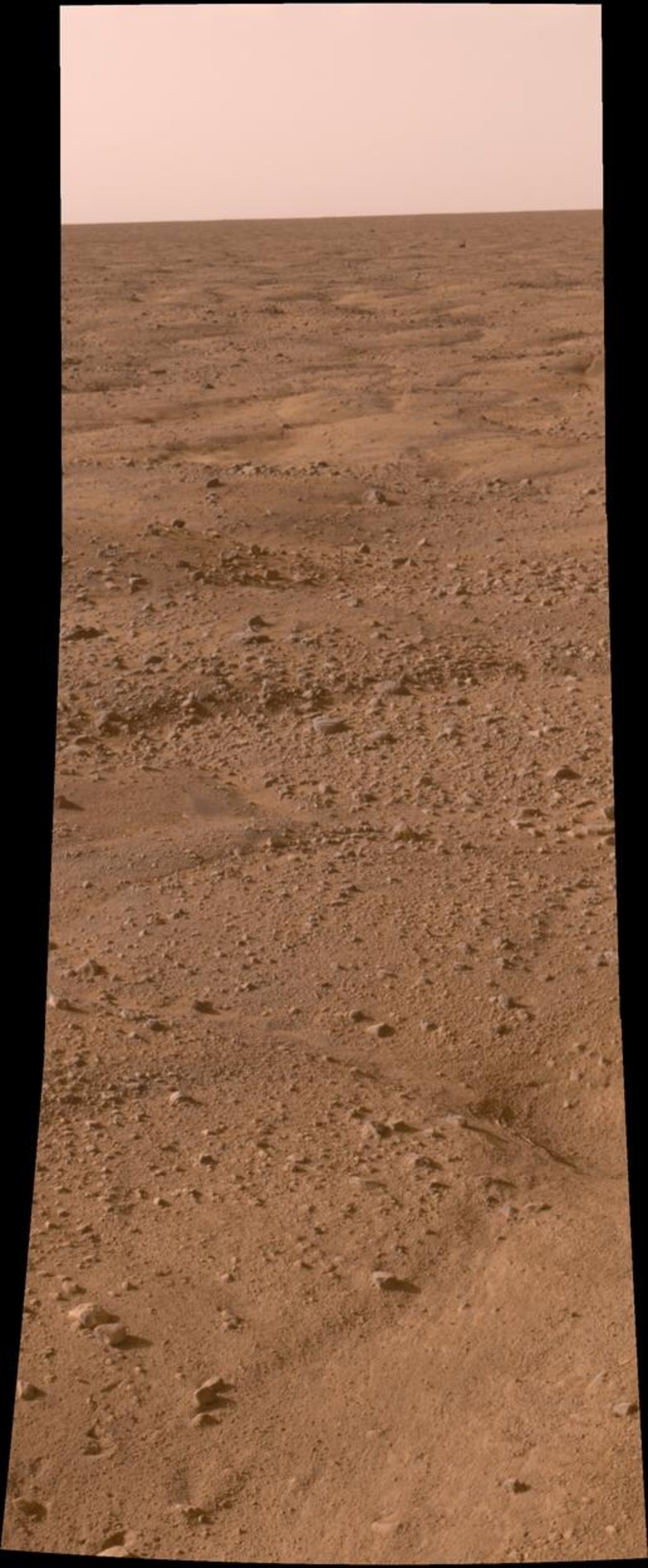 Het oppervlak van Mars, gefotografeerd door de NASA-sonde Phoenix die in de nacht van 25 op 26 mei op de Rode Planeet landde