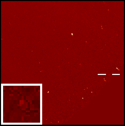 El cometa número 1.500 de SOHO