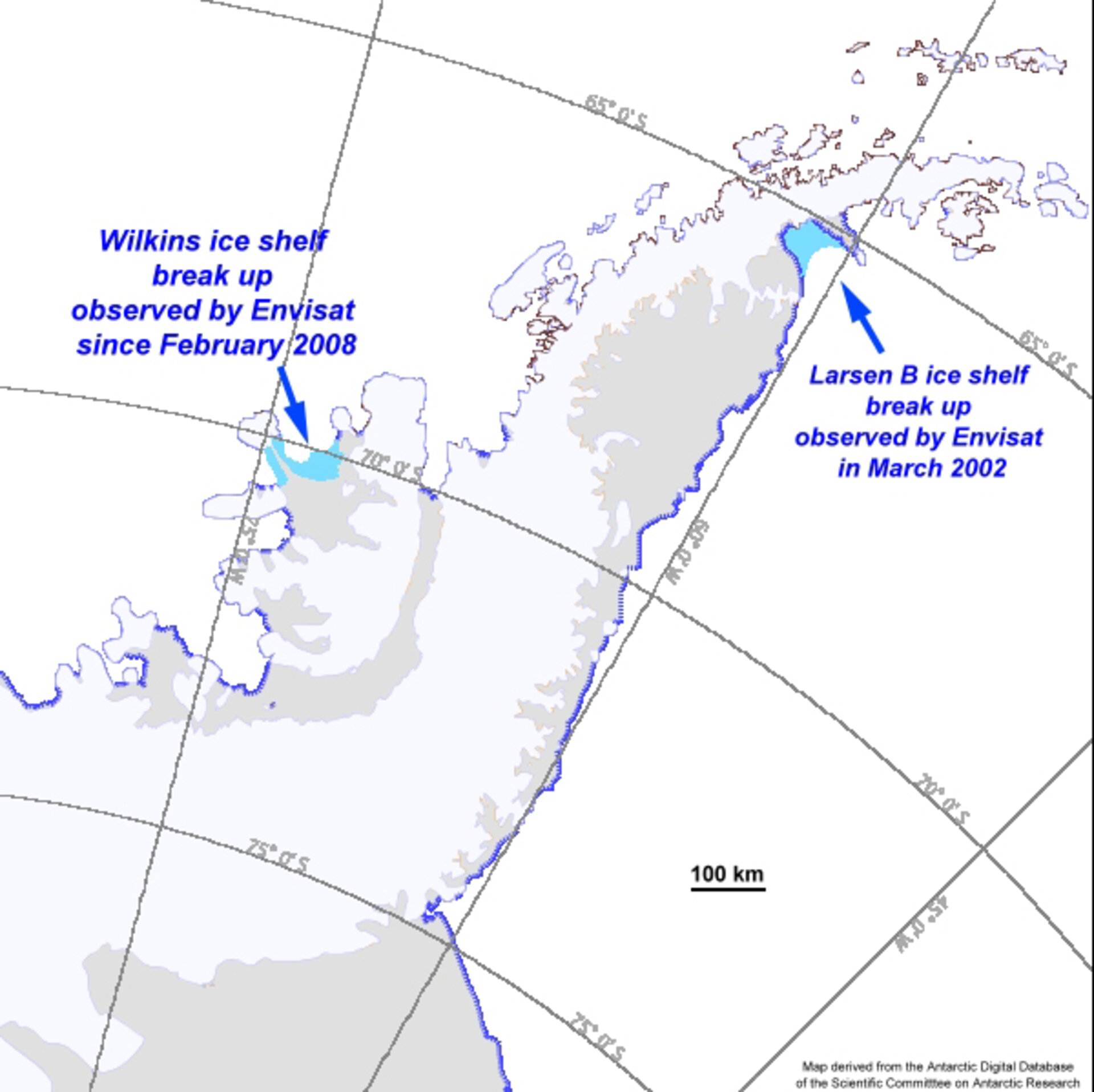 Break-ups of Larsen-B and Wilkins ice shelves