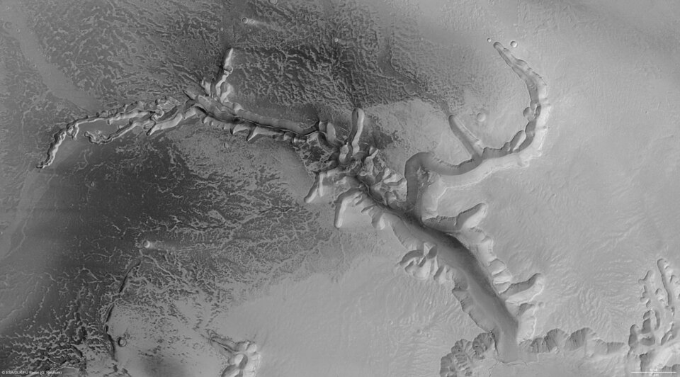 Echus Chasma, nadir view