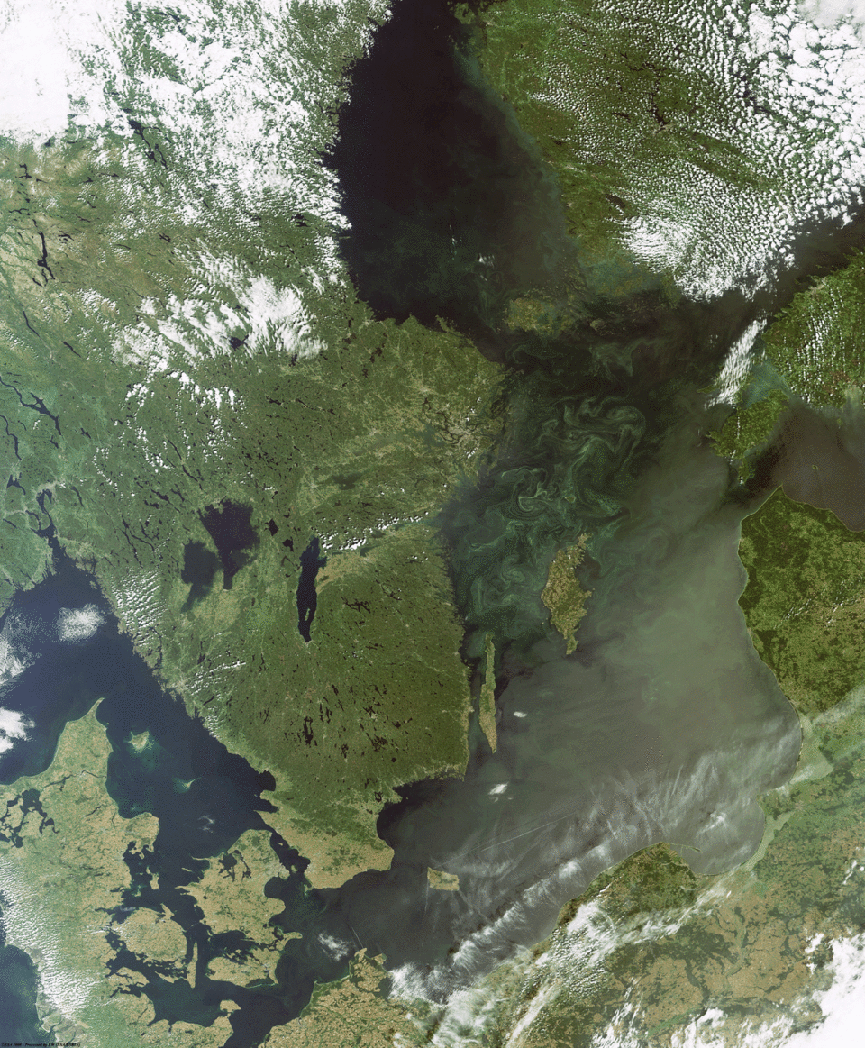 Envisats MERIS-instrument visar hur blågrönalgerna sprider sig över Östersjön