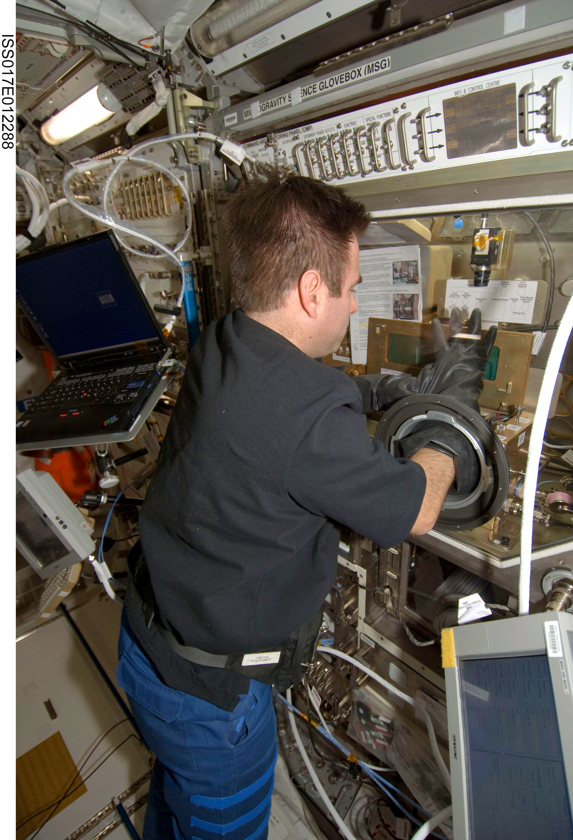 NASA astronaut Greg Chamitoff uses the Microgravity Science Glovebox inside the Columbus laboratory