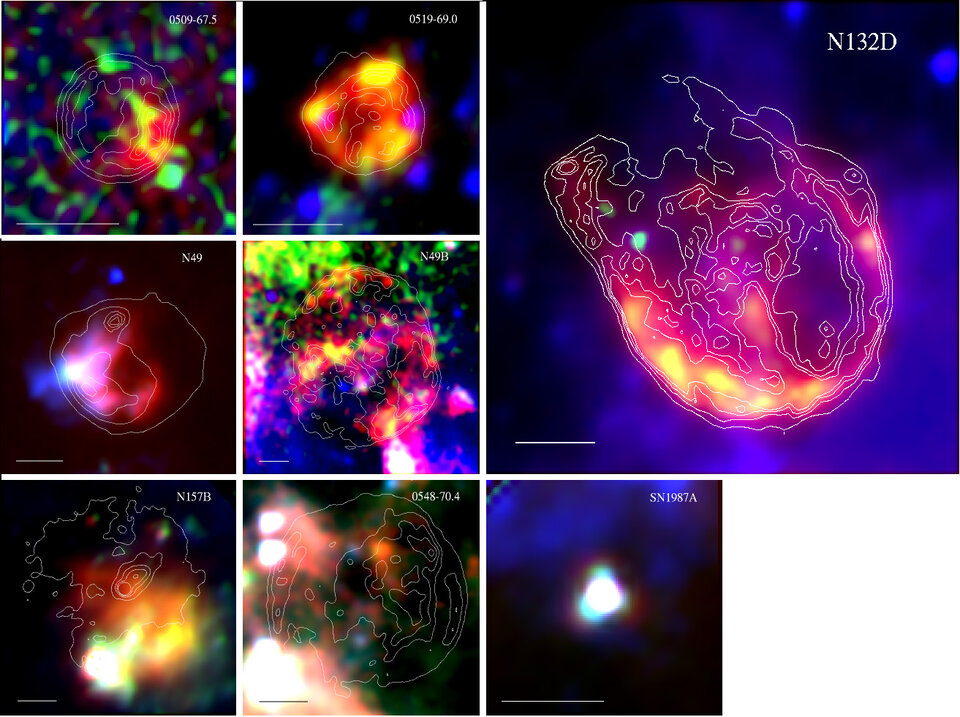Supernova remnants in the Large Magellanic Cloud