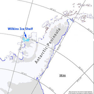 Wilkins Ice Shelf